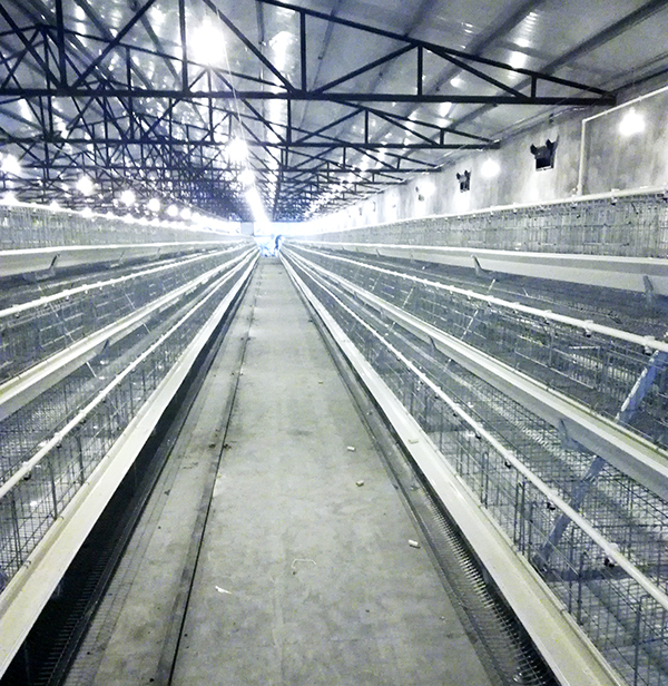 ��ʱk88�������������豸�ļ���Ҫ������Щ��